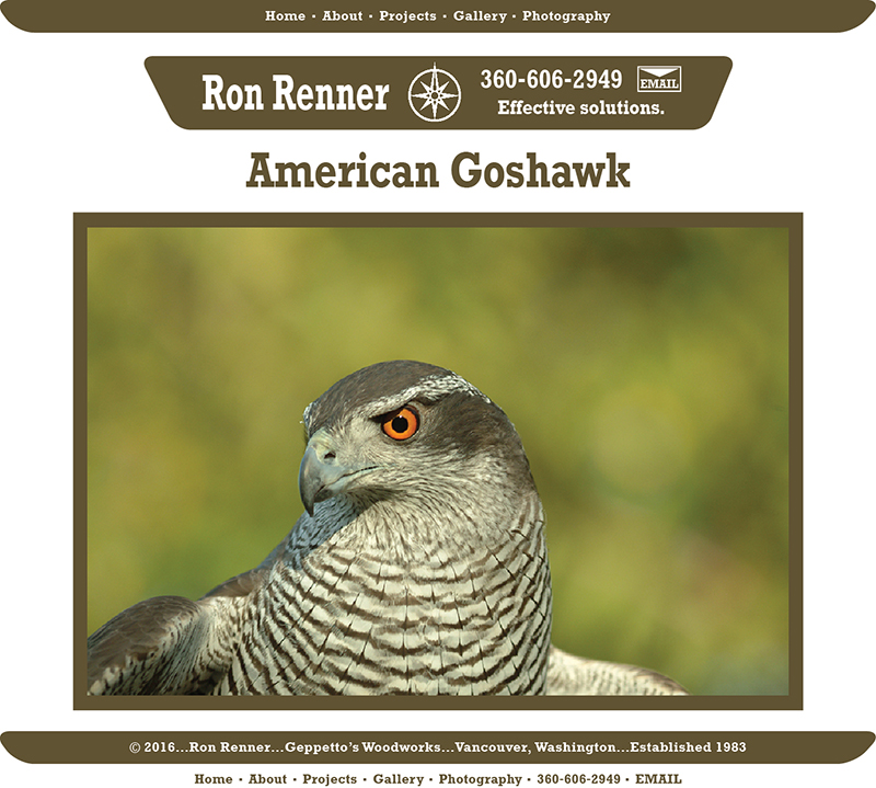 american goshawk, Ron Renner, Geppetto's Woodworks, since 1983, custom